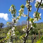 Panzió Pontesello Colognola ai Colli