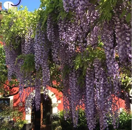 Couette-café Pontesello Colognola ai Colli