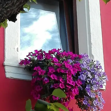 Bed & Breakfast Pontesello 3*